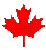 GIF image of a red maple leaf spinning around.